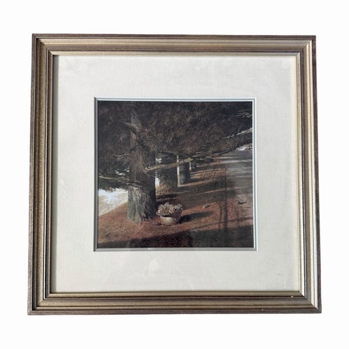 Andrew wyeth framed print - wyeth,